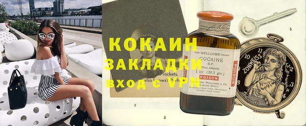 тгк Дмитриев