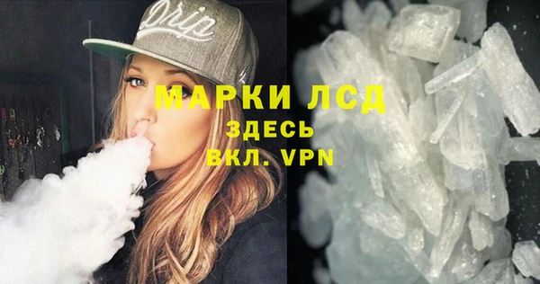 сатива Гусь-Хрустальный