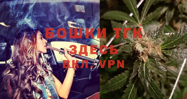 сатива Гусь-Хрустальный