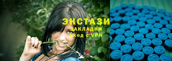 сатива Гусь-Хрустальный