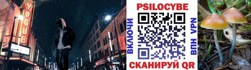 Галлюциногенные грибы Psilocybe Невинномысск